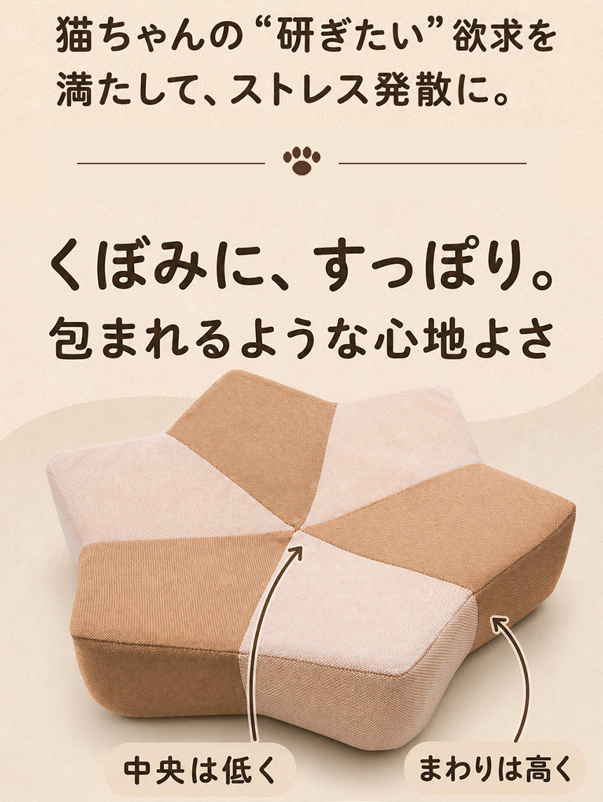 ガリぼろスター