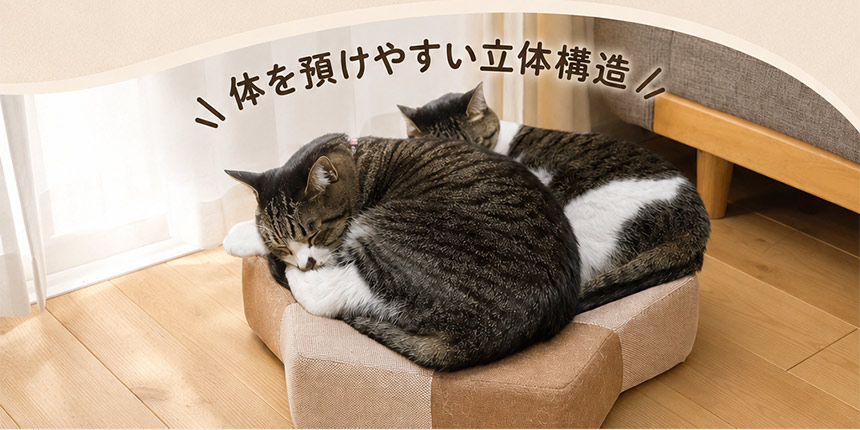 ガリぼろスター