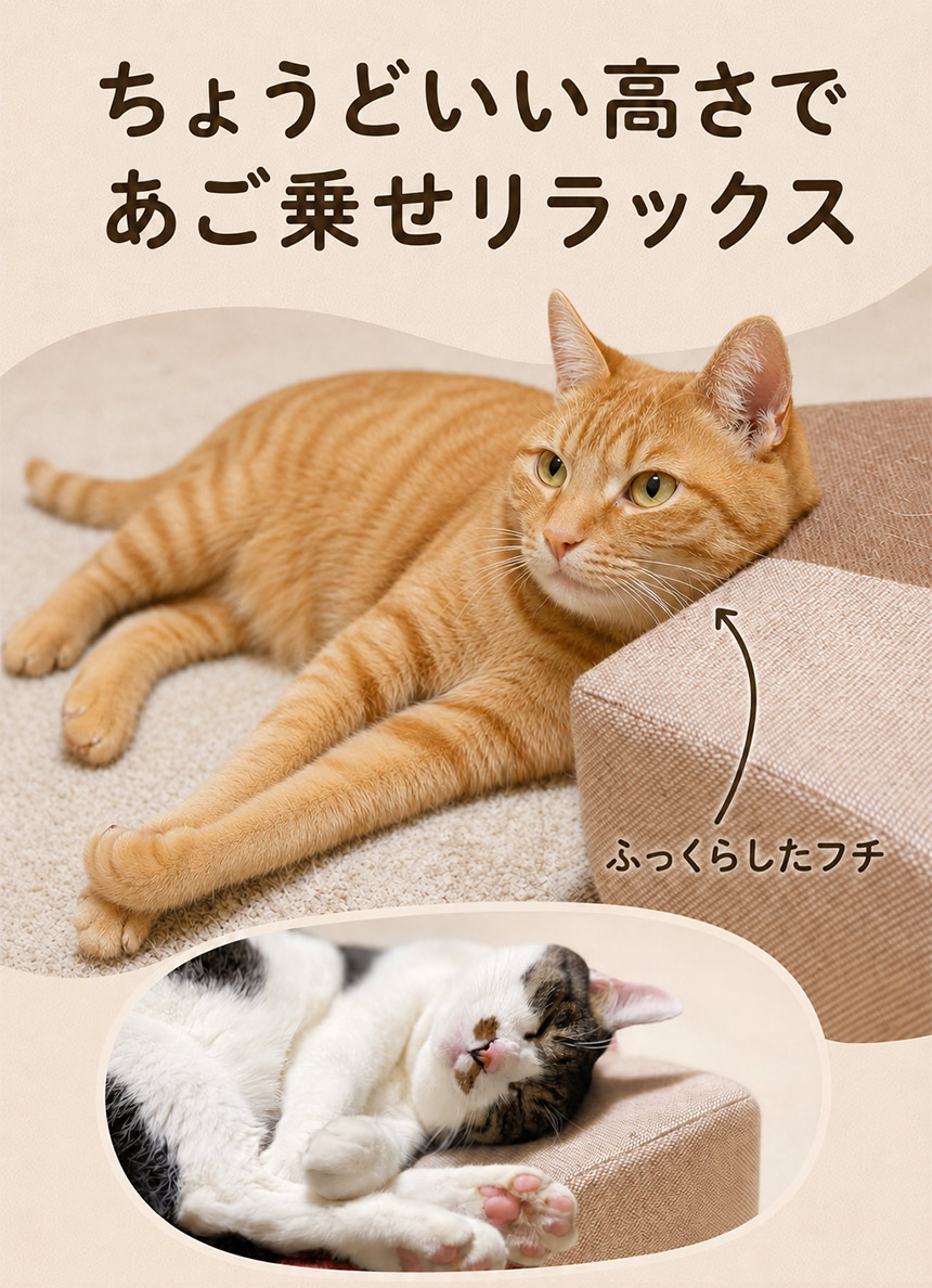 ガリぼろスター