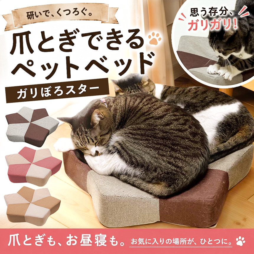ガリぼろスター