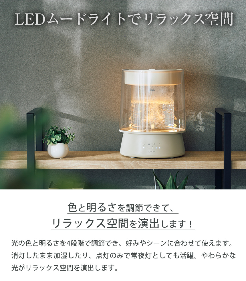  GLASS【QS649】