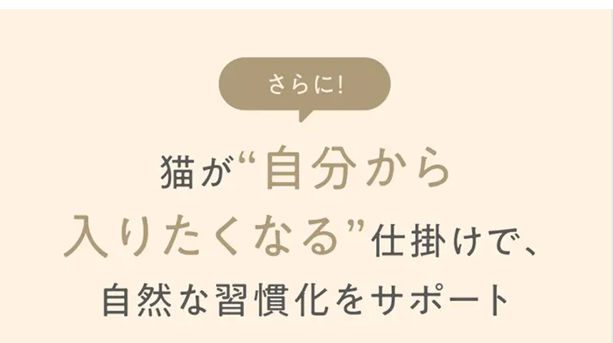 猫専用自動グルーミングハウス