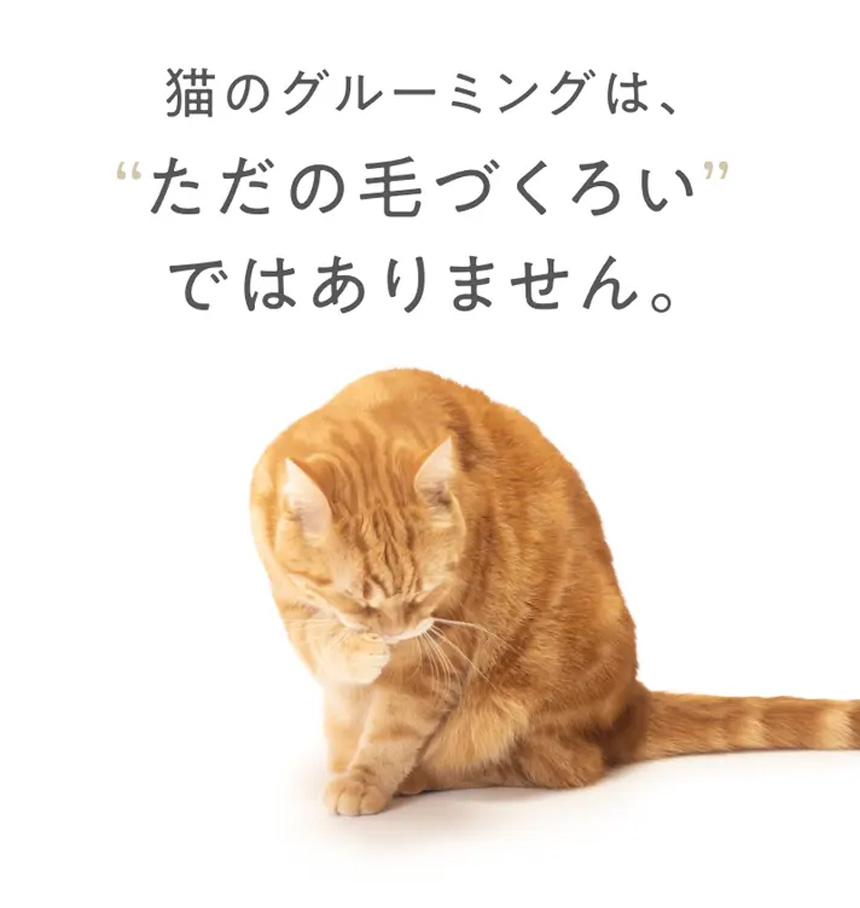猫専用自動グルーミングハウス
