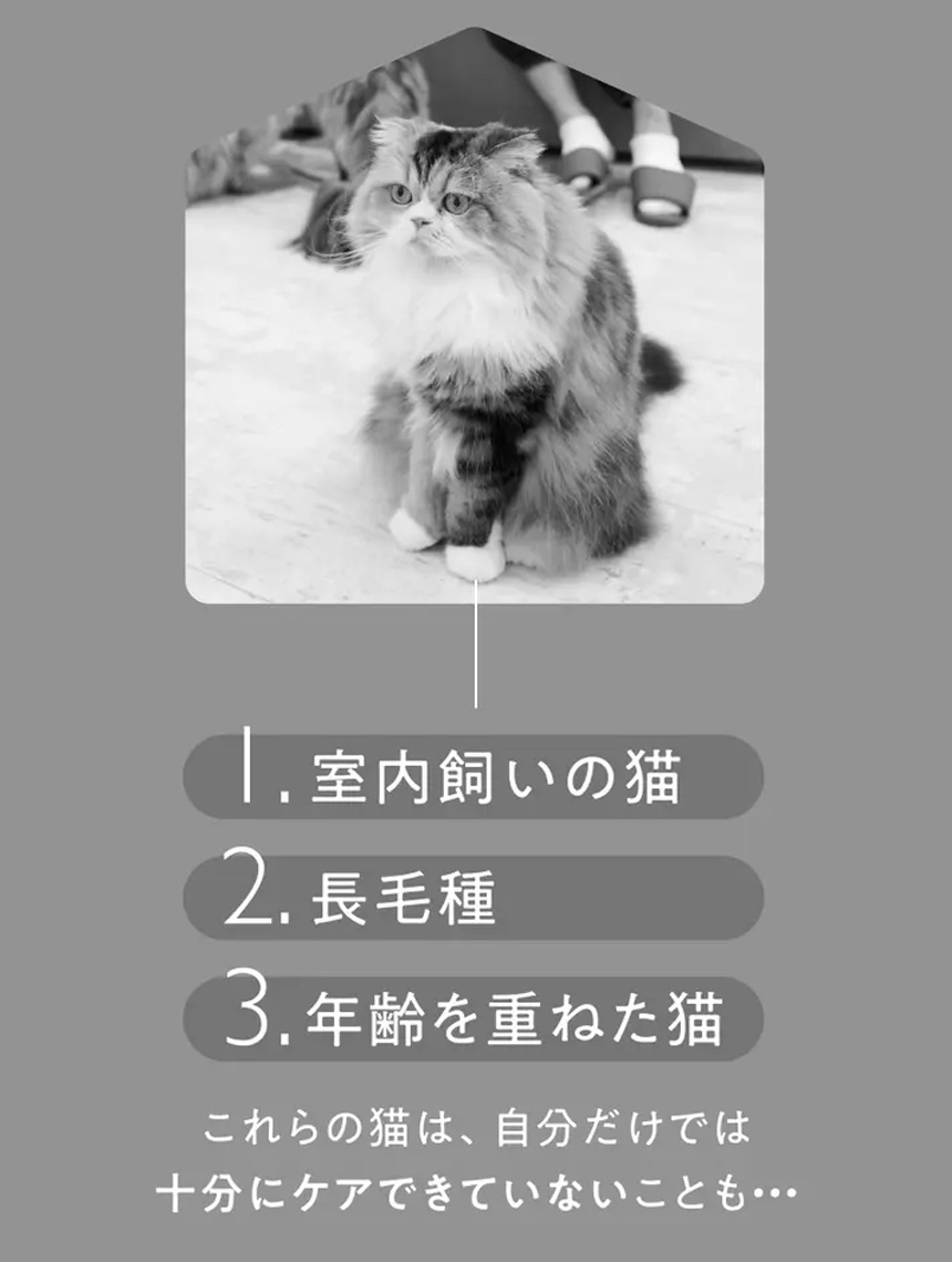 猫専用自動グルーミングハウス