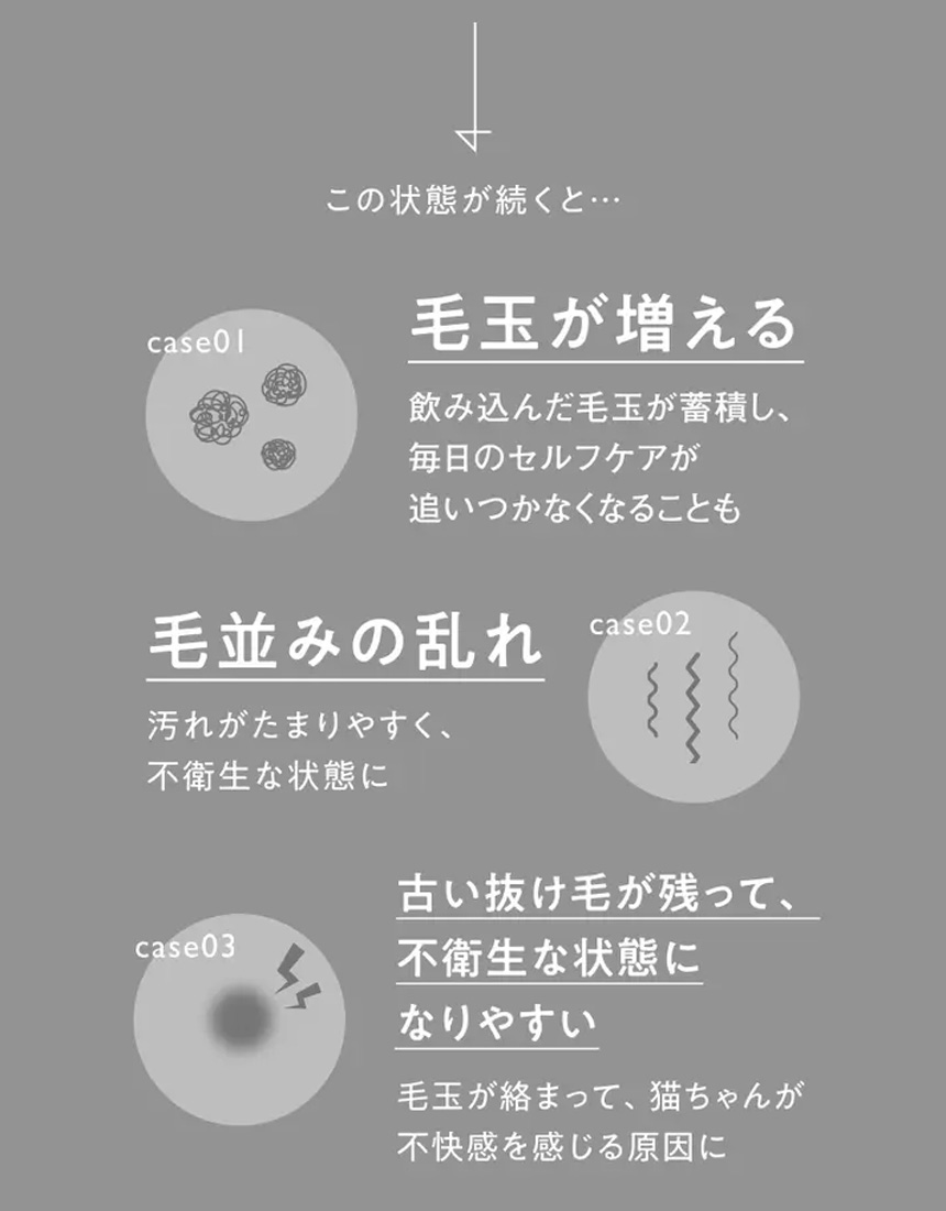 猫専用自動グルーミングハウス