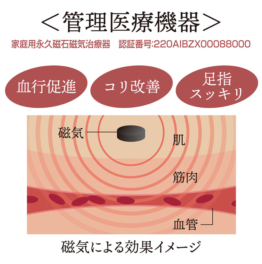 bloom me 磁気付き足指サポーター